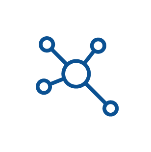 Digital Strategy / Social Media