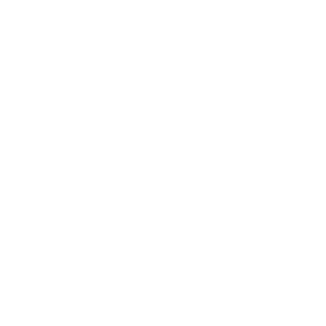 Bird White
