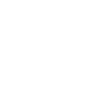 Capital Logistics Logo WHITE